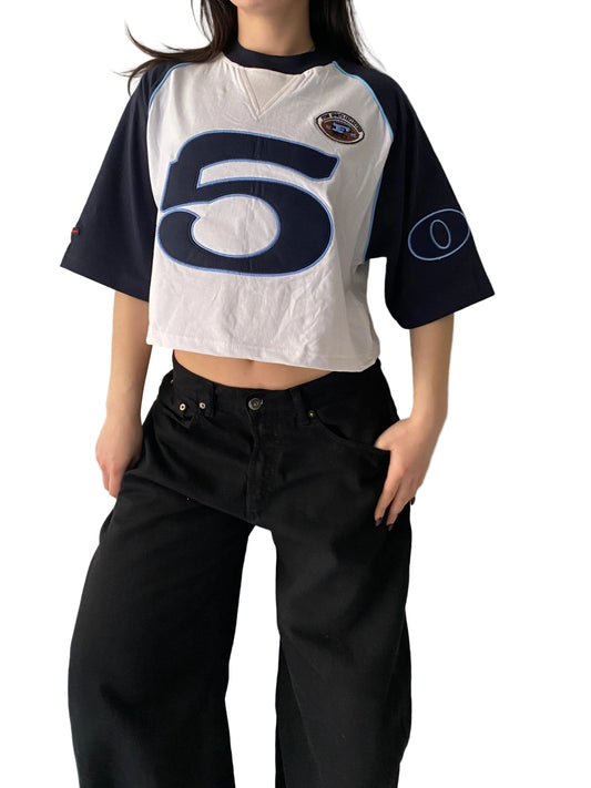 Reworked Fubu crop top